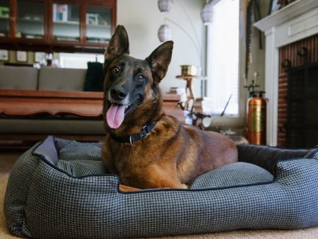 [Pre-order]Lounge Dog Bed: Houndstooth Shadow Grey Supply