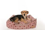 [Pre-order]Lounge Dog Bed: Moroccan Marsala Hot on Sale