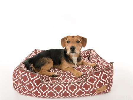 [Pre-order]Lounge Dog Bed: Moroccan Marsala Hot on Sale