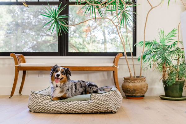 [Pre Order] Lounge Dog Bed: Vineyard Olive Green Online Hot Sale