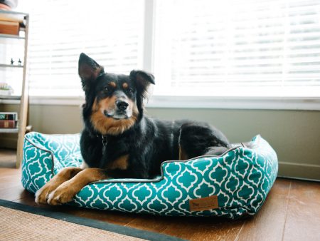 [Pre-order]Lounge Dog Bed: Moroccan Teal For Discount