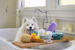 P.L.A.Y. Splish Splash Squeaky Plush Dog toys, Bundle For Sale