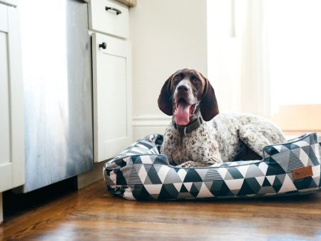 [Pre-order]Lounge Dog Bed: Mosaic Tuxedo Online now