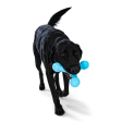 Toss and Fetch Dog toy, Zogoflex Echo Skamp (New Colours) on Sale