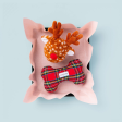 Holiday Squeaky Plush Dog toys, Tartan Plaid Flannel Online Sale