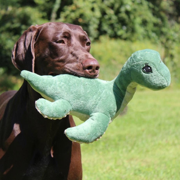 Squeaky Plush Dog Toy: Nessie Online