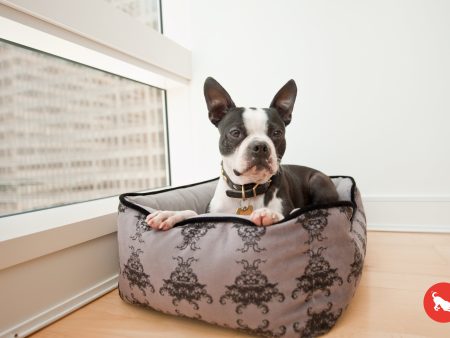 [Pre-order]Lounge Dog Bed: Royal Crest Online Hot Sale