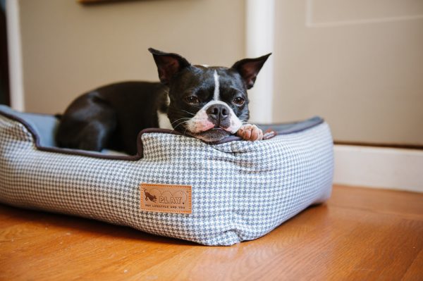 [Pre-order]Lounge Dog Bed: Houndstooth Light Blue Online Hot Sale