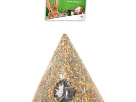 CRITTER WARE HEALTH-E-CONE W HAY For Cheap