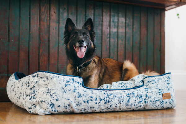 [Pre Order] Lounge Dog Bed: Celestial Midnight Blue Hot on Sale