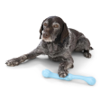 Toss and Fetch Dog toy, Zogoflex Echo Zwig (New Colours) Fashion