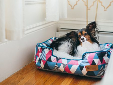 [Pre-order]Lounge Dog Bed: Mosaic Soda Pop Online now