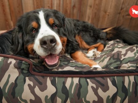 [Pre-order]Lounge Dog Bed: Camouflage Army Green Chocolate Online Hot Sale