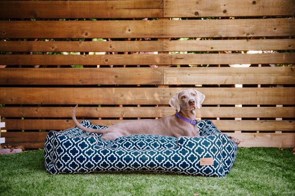 [Pre-order]Lounge Dog Bed: Moroccan Navy Blue Hot on Sale