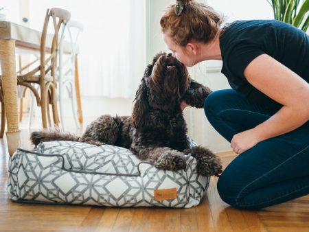 [Pre-order]Lounge Dog Bed: Solstice Snowy Day For Discount