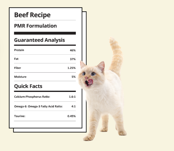 Steve s Real Food Quest Freeze-Dried Raw Cat Food, Beef Recipe Online Hot Sale