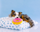 Zippy Squeaky Dog Toy, Donutz Strawberry Jumbo Online Sale